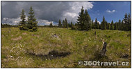 Play virtual tour - Great Grouse Mating Area